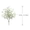 White &#x26; Green Seed Pick by Ashland&#xAE;